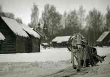   . Russian Winter [Timur Kostroma]